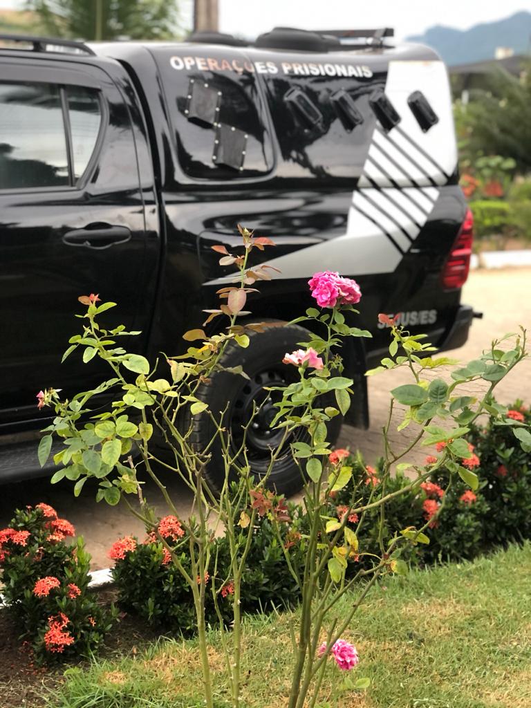Rosas